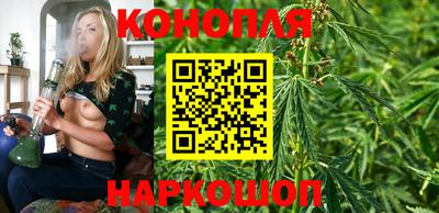 герыч Кингисепп