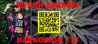 герыч Кингисепп